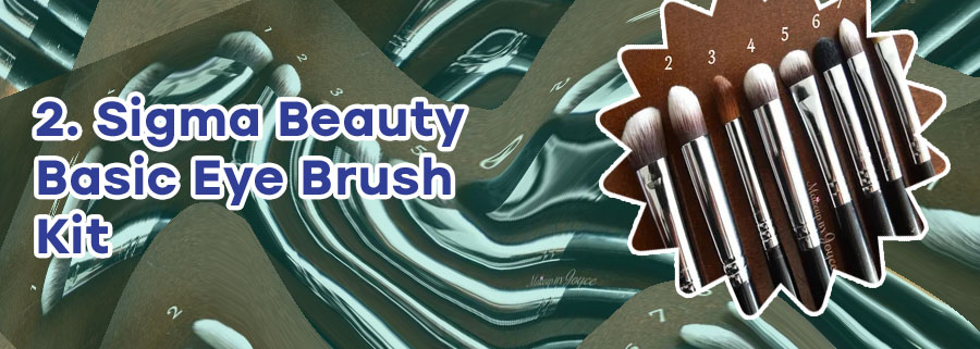 Best sigma eye brushes